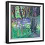 Bluebell Patch-Sylvia Paul-Framed Giclee Print