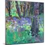 Bluebell Patch-Sylvia Paul-Mounted Giclee Print