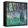 Bluebell Patch-Sylvia Paul-Framed Stretched Canvas