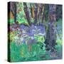 Bluebell Patch-Sylvia Paul-Stretched Canvas