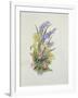 Bluebell posy with cowslips, dogroses and lily-Nell Hill-Framed Giclee Print