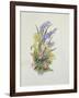 Bluebell posy with cowslips, dogroses and lily-Nell Hill-Framed Giclee Print