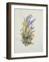 Bluebell posy with cowslips, dogroses and lily-Nell Hill-Framed Giclee Print