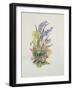 Bluebell posy with cowslips, dogroses and lily-Nell Hill-Framed Giclee Print