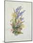 Bluebell posy with cowslips, dogroses and lily-Nell Hill-Mounted Giclee Print