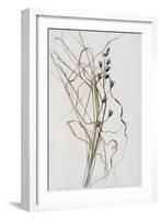 Bluebell Seedhead in Drying Grass, 1996-Rebecca John-Framed Giclee Print