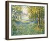 Bluebell Valley-John Halford Ross-Framed Giclee Print