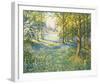 Bluebell Valley-John Halford Ross-Framed Giclee Print