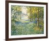 Bluebell Valley-John Halford Ross-Framed Giclee Print