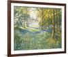 Bluebell Valley-John Halford Ross-Framed Giclee Print