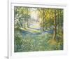 Bluebell Valley-John Halford Ross-Framed Giclee Print