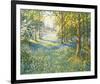 Bluebell Valley-John Halford Ross-Framed Giclee Print