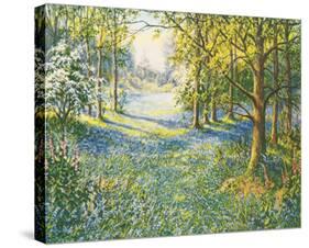 Bluebell Valley-John Halford Ross-Stretched Canvas