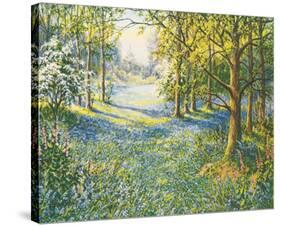 Bluebell Valley-John Halford Ross-Stretched Canvas