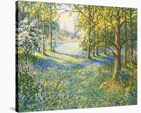 Bluebell Valley-John Halford Ross-Stretched Canvas
