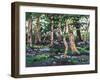 Bluebell Wood, 2009-Helen White-Framed Giclee Print