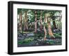 Bluebell Wood, 2009-Helen White-Framed Giclee Print