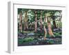 Bluebell Wood, 2009-Helen White-Framed Giclee Print