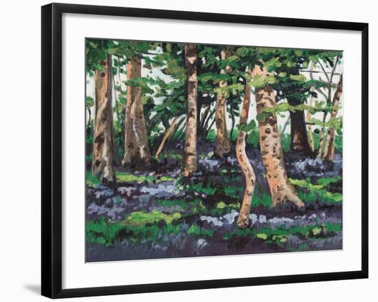 Bluebell Wood, 2009-Helen White-Framed Giclee Print