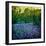 Bluebell Wood I-Pete Kelly-Framed Giclee Print