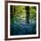 Bluebell Wood II-Pete Kelly-Framed Giclee Print