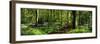 Bluebell Wood Yorkshire England-null-Framed Premium Photographic Print