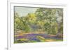 Bluebell Wood-Augustus William Enness-Framed Premium Giclee Print