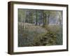 Bluebell Wood-Bill Makinson-Framed Giclee Print