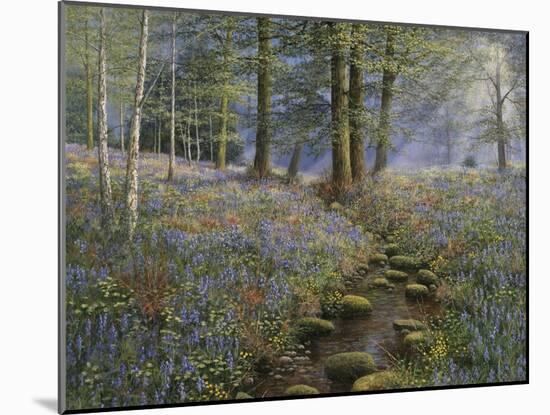 Bluebell Wood-Bill Makinson-Mounted Giclee Print