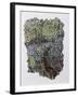 Bluebell Wood-Kirstie Adamson-Framed Giclee Print