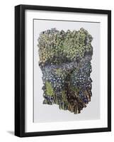 Bluebell Wood-Kirstie Adamson-Framed Giclee Print