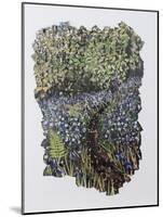 Bluebell Wood-Kirstie Adamson-Mounted Giclee Print