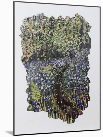 Bluebell Wood-Kirstie Adamson-Mounted Giclee Print