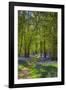 Bluebell woods, Surrey, England, UK-Jon Arnold-Framed Photographic Print