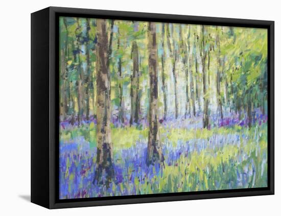 Bluebell Woods-Jennifer Gardner-Framed Stretched Canvas