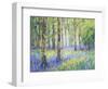 Bluebell Woods-Jennifer Gardner-Framed Art Print