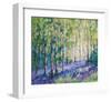 Bluebell Woodsiv-null-Framed Art Print