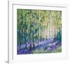 Bluebell Woodsiv-null-Framed Art Print