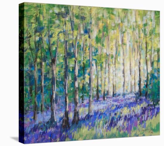 Bluebell Woodsiv-null-Stretched Canvas
