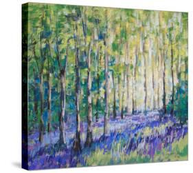 Bluebell Woodsiv-null-Stretched Canvas