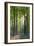 Bluebells and Beech Trees, West Woods, Marlborough, Wiltshire, England. Spring (May)-Adam Burton-Framed Photographic Print