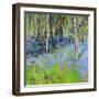 Bluebells And Birches-Sylvia Paul-Framed Giclee Print