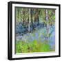 Bluebells And Birches-Sylvia Paul-Framed Giclee Print