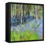 Bluebells And Birches-Sylvia Paul-Framed Stretched Canvas