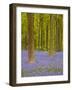 Bluebells Beneath Trees, West Woods, Wiltshire, England, United Kingdom, Europe-Julian Elliott-Framed Photographic Print