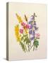 Bluebells, Broom, Herb Robert and other wild flowers-Ursula Hodgson-Stretched Canvas