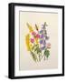 Bluebells, Broom, Herb Robert and other wild flowers-Ursula Hodgson-Framed Giclee Print