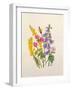 Bluebells, Broom, Herb Robert and other wild flowers-Ursula Hodgson-Framed Giclee Print