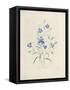 Bluebells, from 'Choix Des Plus Belles Fleurs Et Des Plus Beaux Fruits', 1827-33-Pierre-Joseph Redouté-Framed Stretched Canvas