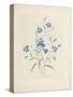 Bluebells, from 'Choix Des Plus Belles Fleurs Et Des Plus Beaux Fruits', 1827-33-Pierre-Joseph Redouté-Stretched Canvas